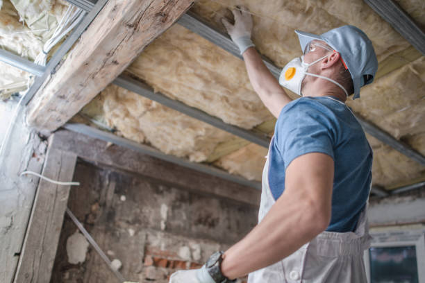 Best Insulation for New Construction  in Armona, CA
